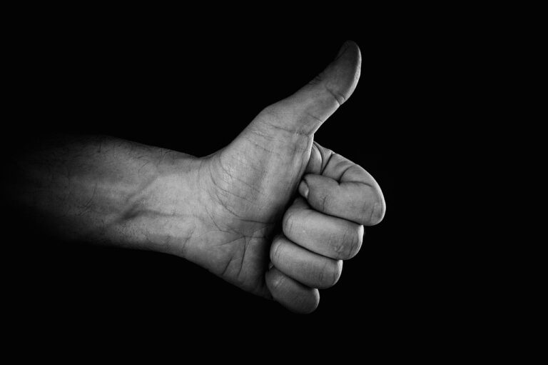 gesture, to approve, fingers, non-verbal communication, good, like sign, approve, like, okay, gestures, hands, black and white, male hand, the hand, hand gestures, arm, human gestures, human hand, communicative gestures, approve, approve, like, like, okay, okay, okay, okay, okay